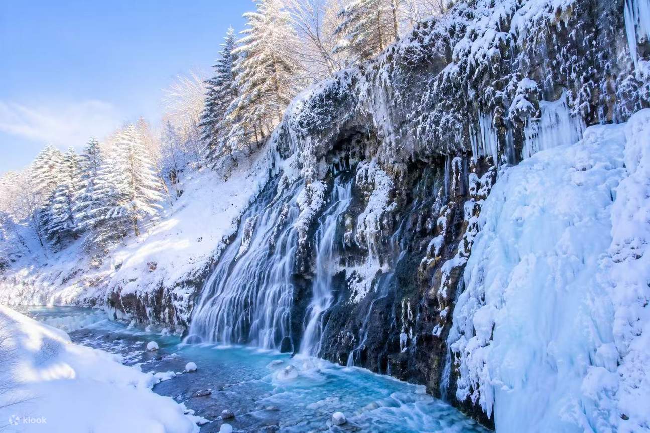 スノーインサマー Departing from Sapporo: Furano & Biei Winter Day Tour | Shikisai